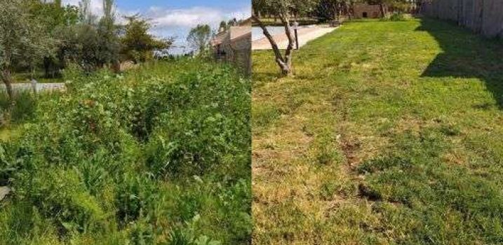 Desbroce antes y después