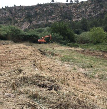 desbroce campito